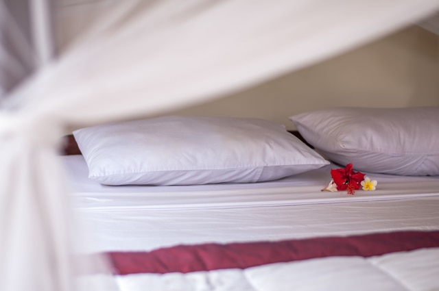 ビスマ ジャヤ バンガロー