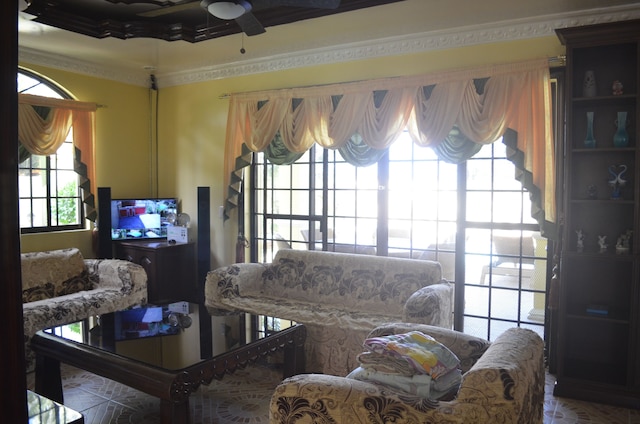 キム ベアトリス コンパウンド