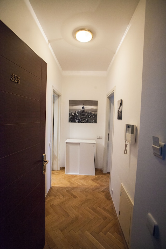 プラハ ジスコフ スタジオ