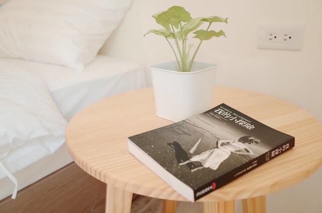 チェスナット ゲスト ハウス