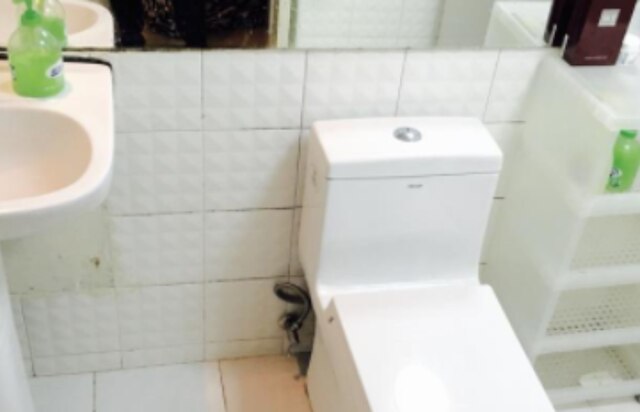 ゴーネイティブ ホームステイ 新天地