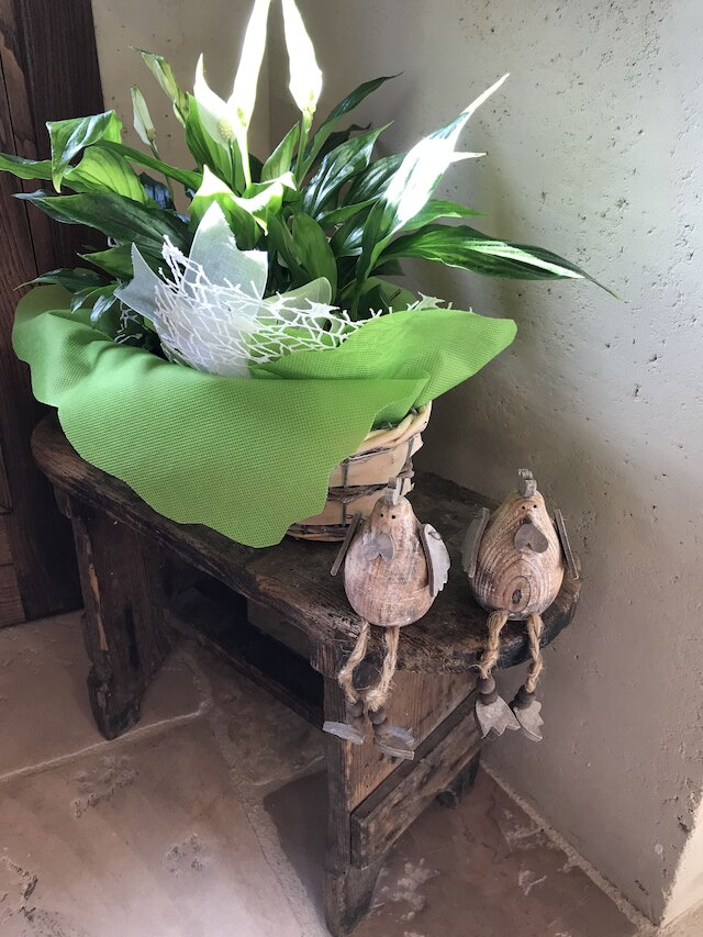 シャルメ イン ペリイリス