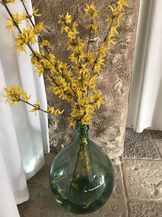 シャルメ イン ペリイリス