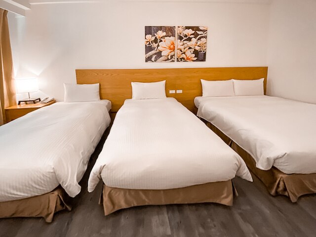 ガイド エデュケーション カルチャー ホテル 高雄 ミュージアム オブ ファイン アーツ (承携行旅学産文教会館高雄美術館)