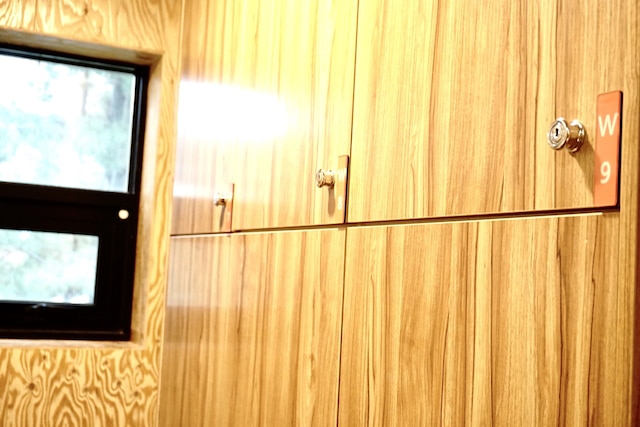 カプセル マジャン