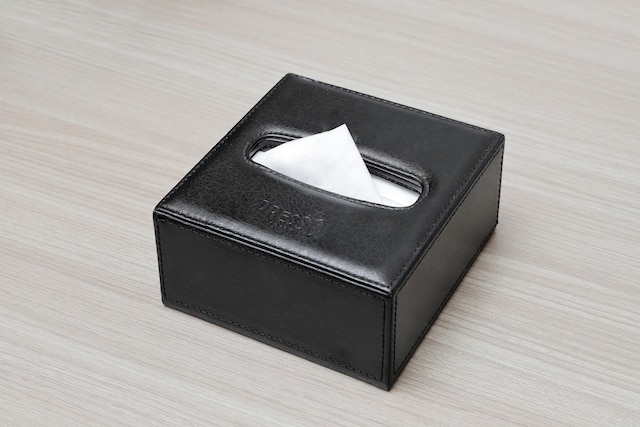 京王プレッソイン東京九段下