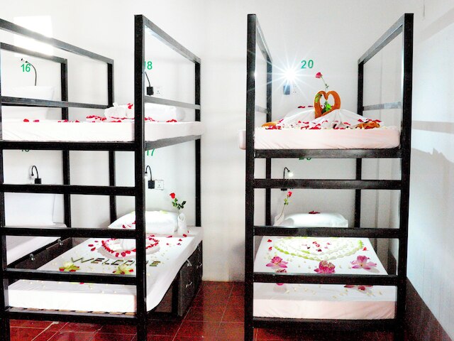 カフ ホステル & プール