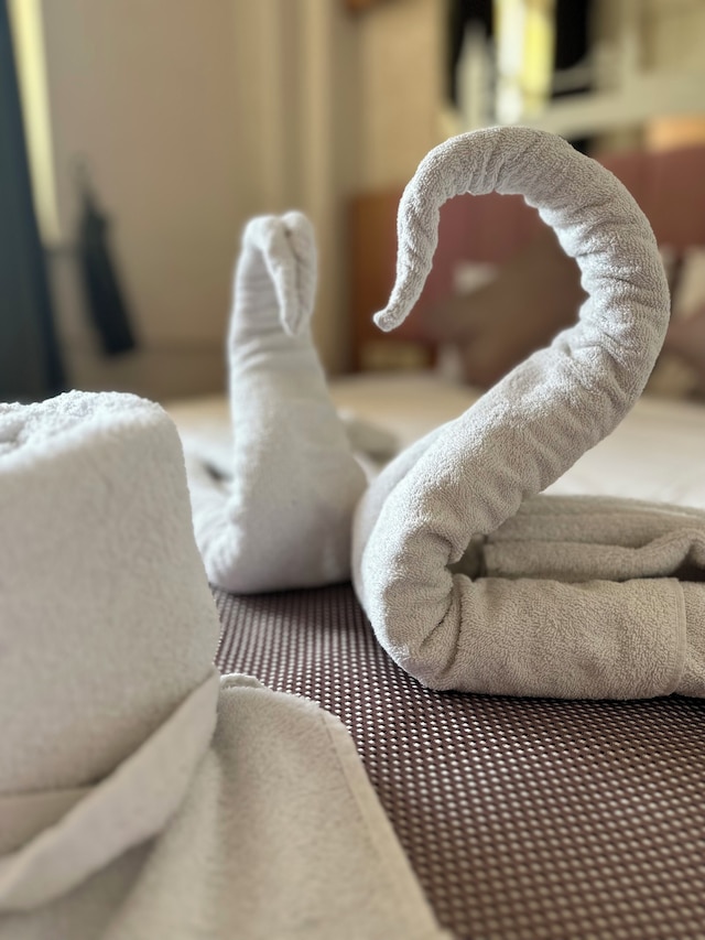 ディーバス シルバー ホテル