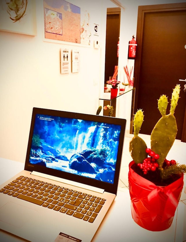 カクタス ゲスト ハウス