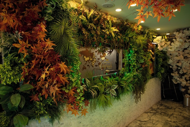 マイ スイート バイ ヘラ