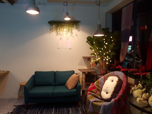 ホステル シングル シングル