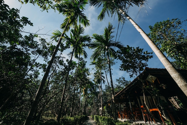 トゥイ ビユ ホームステイ