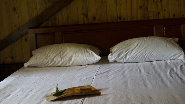 トゥイ ビユ ホームステイ