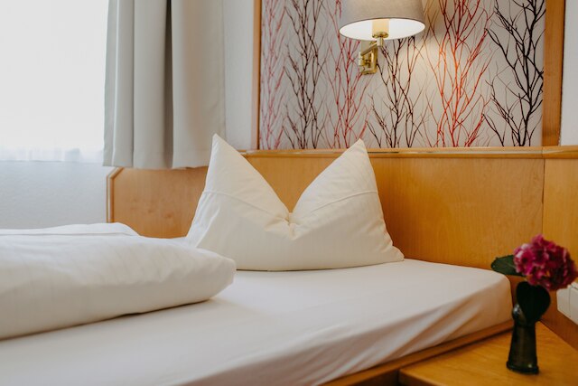 ホテル リンデ ドゥルバッハ