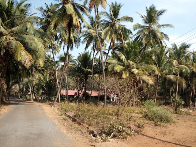 ライカル ゲスト ハウス