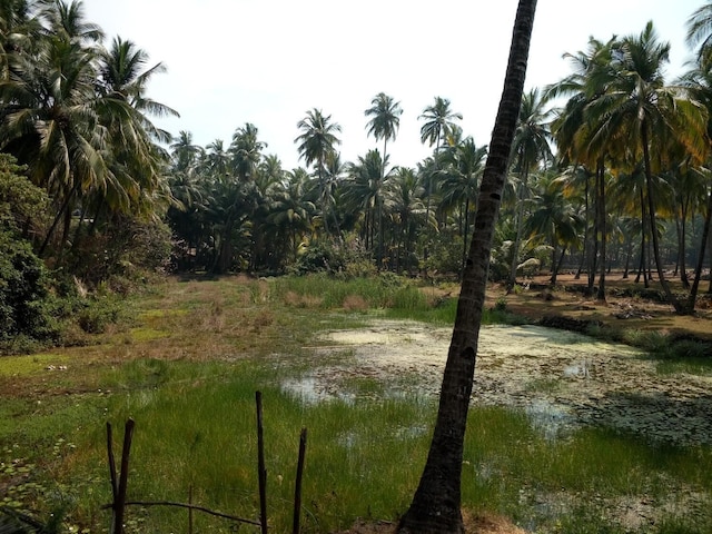 ライカル ゲスト ハウス