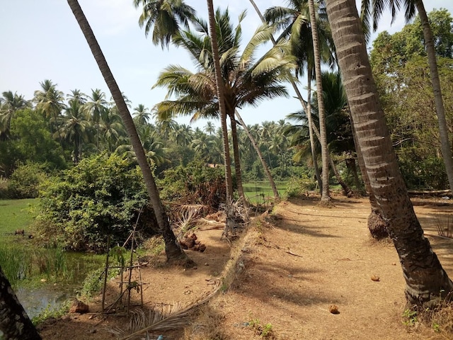 ライカル ゲスト ハウス