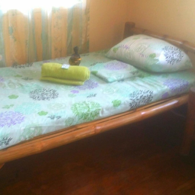 バックパッカーズ ホステル