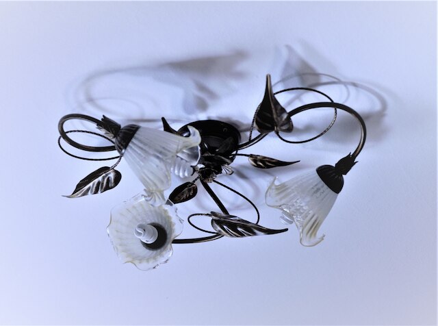 B&B セルバロッサ