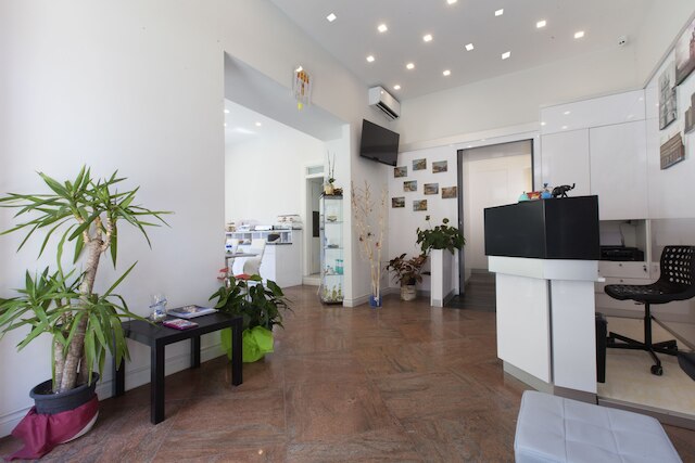 スイート デイ カタラーニ