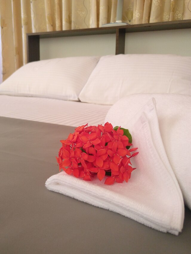 ベイバル ゲストハウス サービス