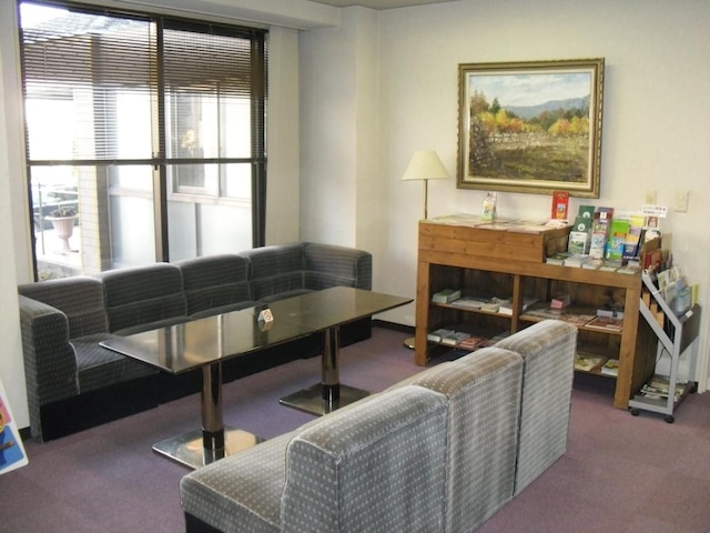 河口湖ビジネス & リゾート SAWA HOTEL