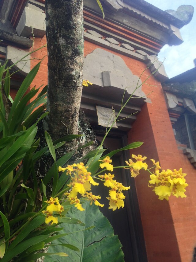 ウィナ ウブド B&B