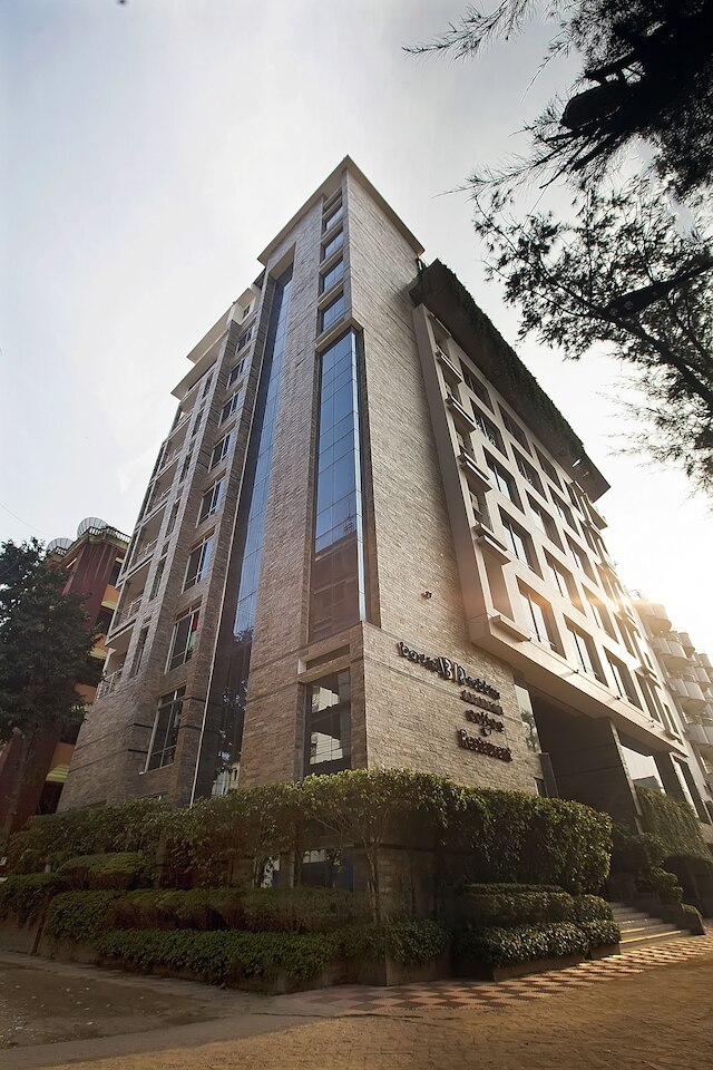 ホワイト オーキッド