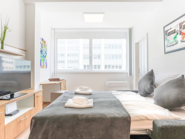 スカイ 9 アパートメンツ シティ センター