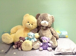 ホームステイ イン ジョホール - ベア ハウス