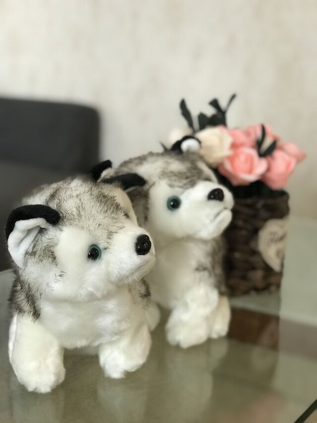 西安 フェニックス ホリデイ ホテル