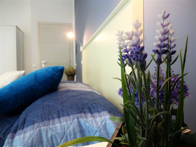 イ ヴィチーニ デッラ カテドラーレ