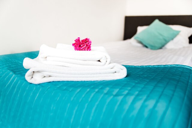 3D ロイヤル キャッスル アパートメント