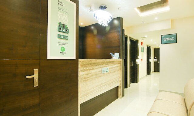 ツリーボ フープス - エアポート VIPロード