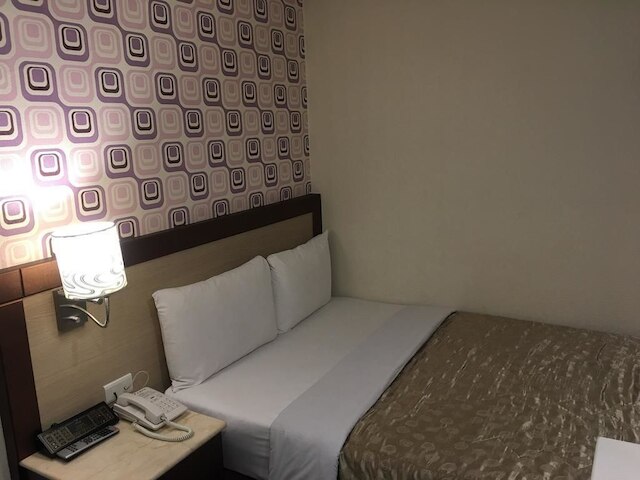 キャリー ホテル (凱麗旅館)