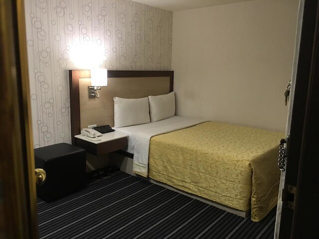 キャリー ホテル (凱麗旅館)