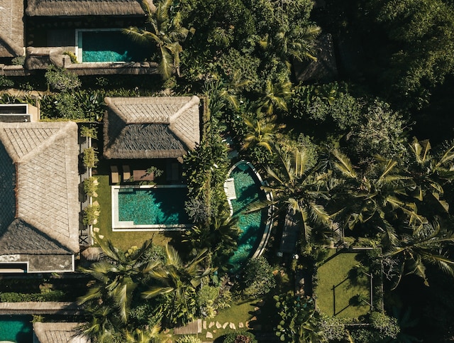 ウブド・ニューバリ・リゾート & スパ