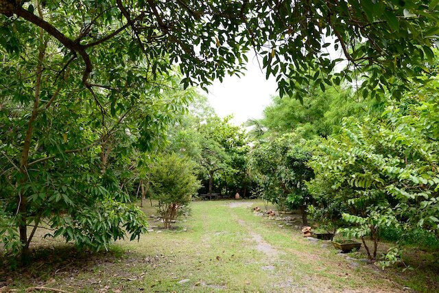 フェアリー ストーリー エコロジカル ファーム B&B (童話村生態農場民宿)