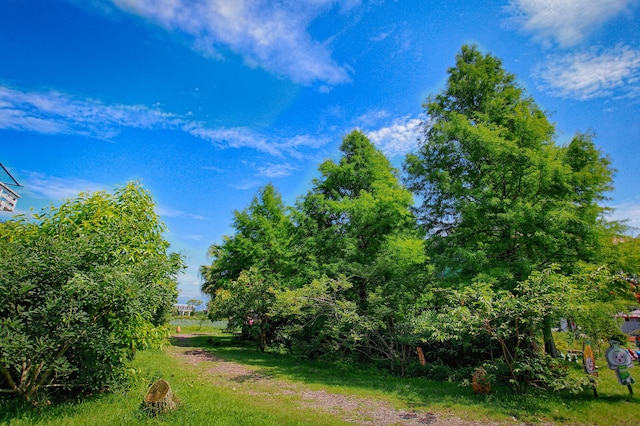 フェアリー ストーリー エコロジカル ファーム B&B (童話村生態農場民宿)