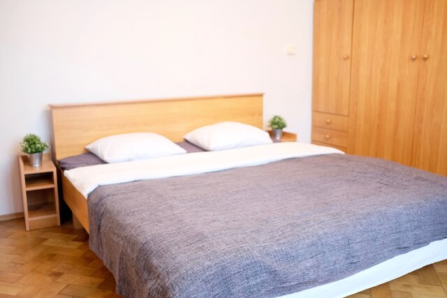 ヴォディチコヴァ アパートメント