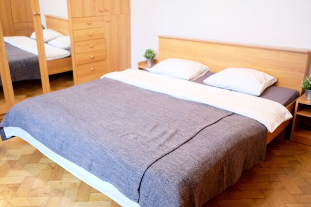 ヴォディチコヴァ アパートメント