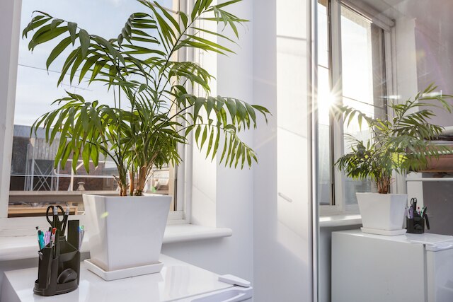 ヘンリエッタ カールトン スタジオ アパートメント