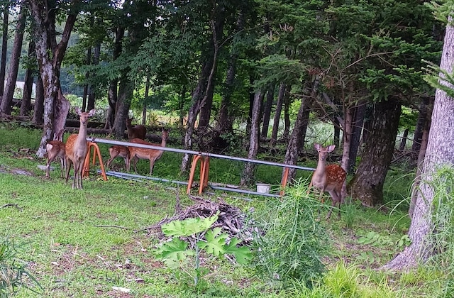 リゾート ペンション ル ラゴン