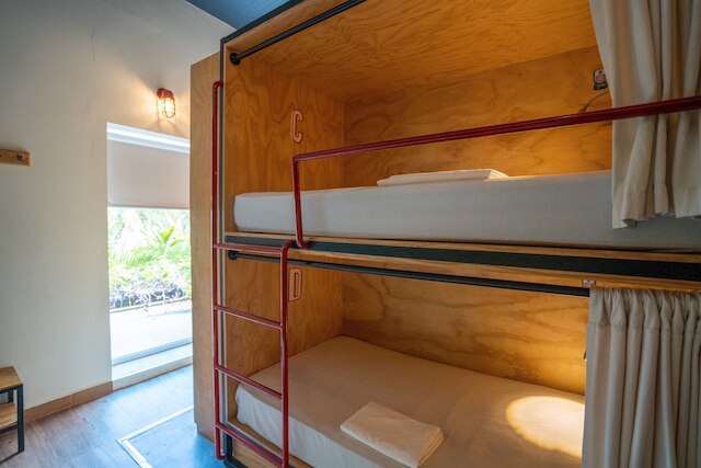 マヤン モンキー カンクン | ソーシャル ホテル