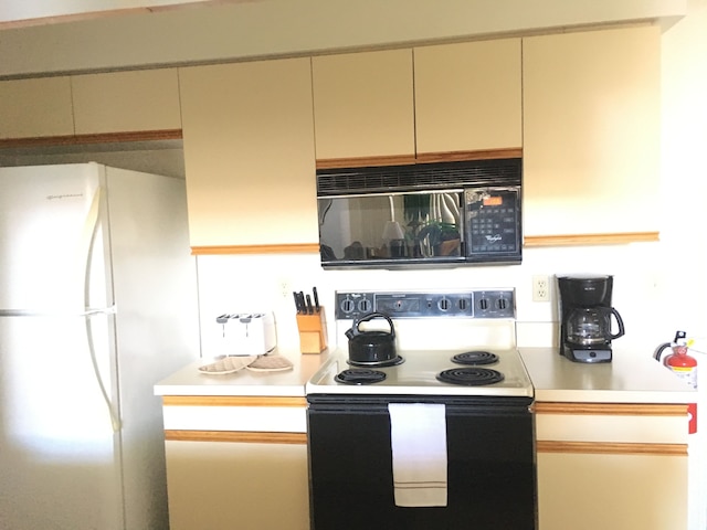 ミッキーズ パラダイス