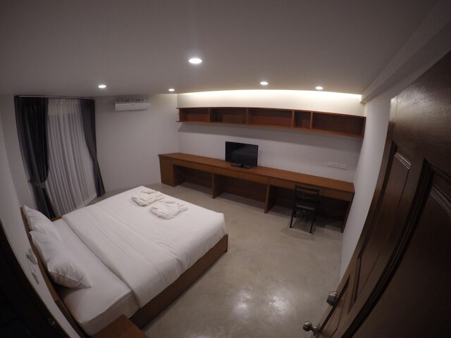 カニス プレイス