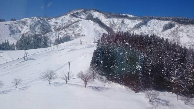 越後湯沢温泉 ガーデンタワーホテル