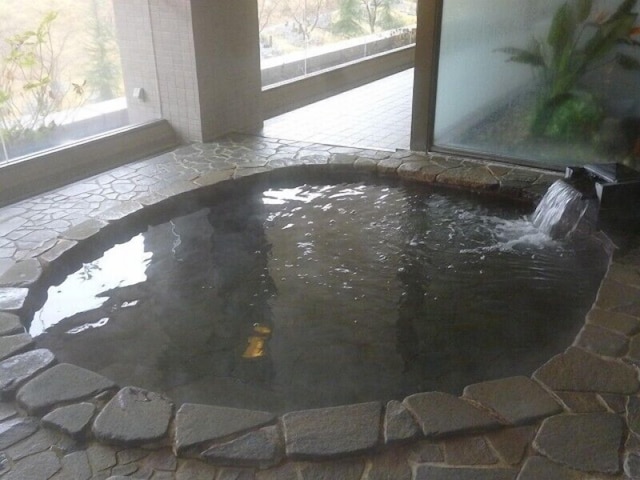 越後湯沢温泉 ガーデンタワーホテル