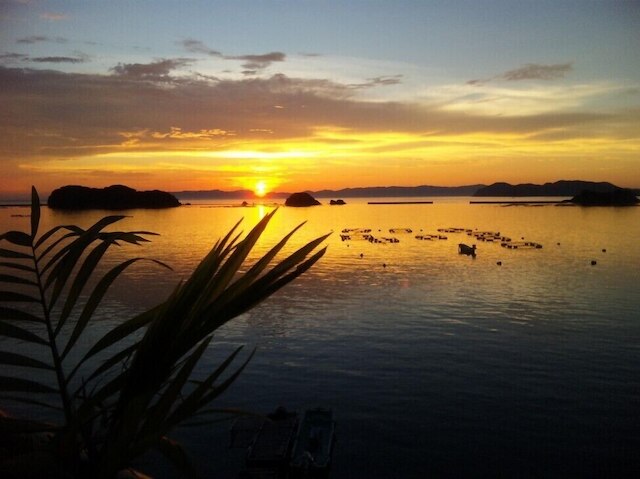 Seaside うわかい