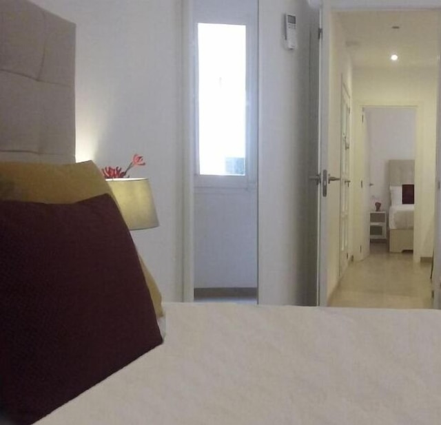 ブルースター サグラダ ファミリア